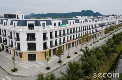 Ngói phẳng Pháp SE-24